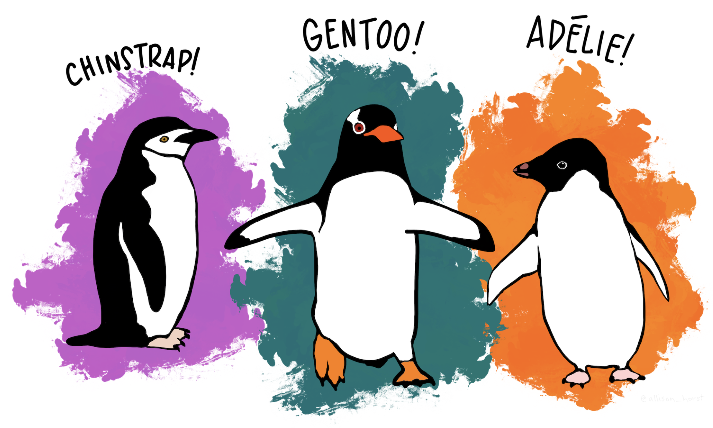 Three species of penguins