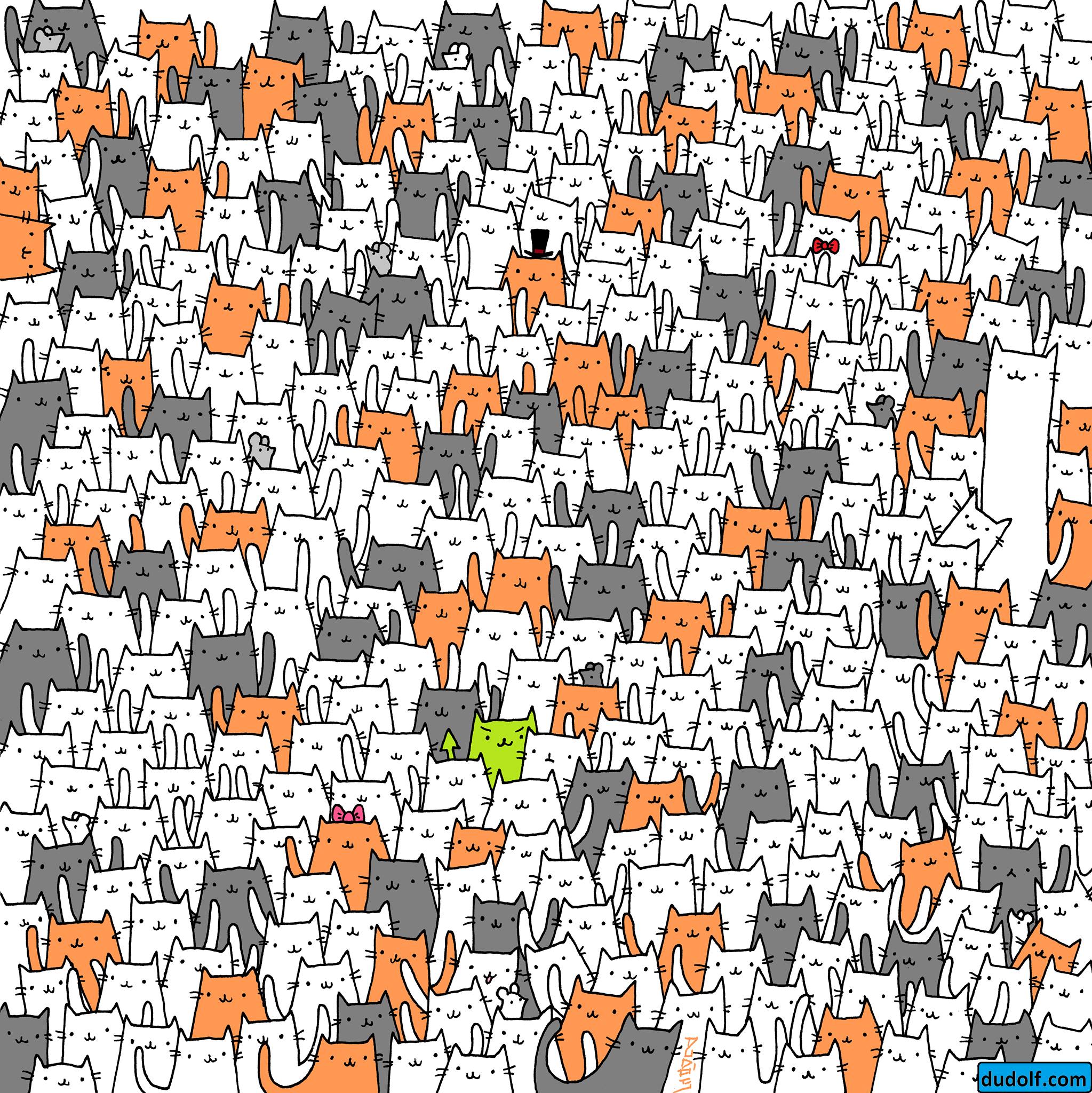 Illustrations of many cats in white, gray, orange, and green, and one bunny hidden among them.