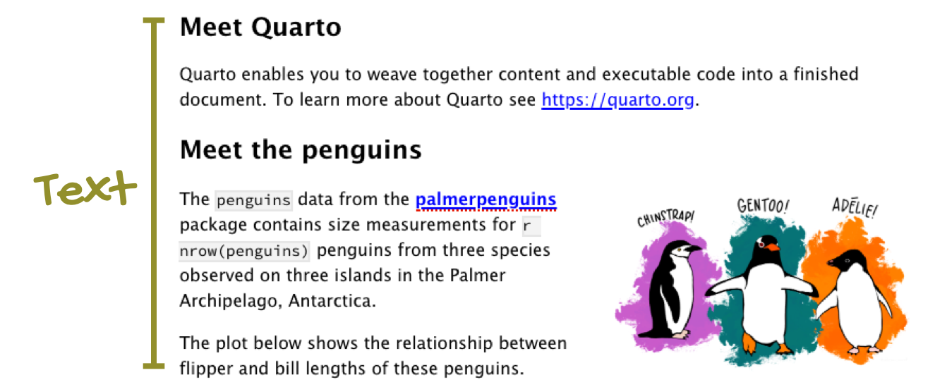 Text portion of the of the linked example document titled "Penguins, meet Quarto!", with annotation that reads "Text".