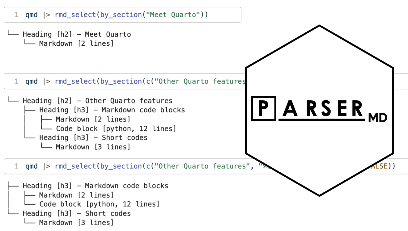 Screenshot from Colin&#039;s presentation with parsermd package logo overlaid.